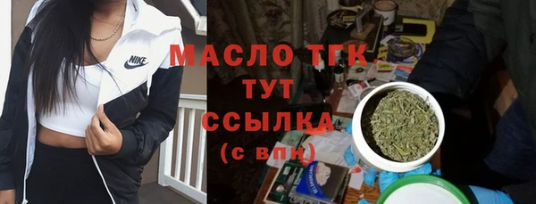 Альфа ПВП Ельня