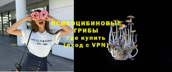 метадон Елизово