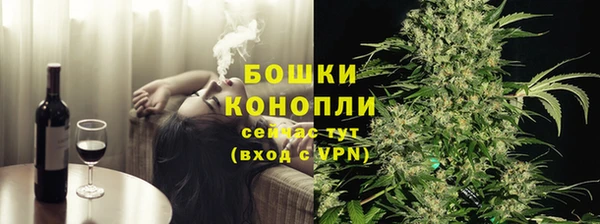 Альфа ПВП Ельня