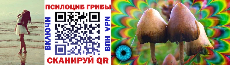 kraken рабочий сайт  Красновишерск  Галлюциногенные грибы Psilocybine cubensis 